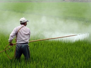 Productos Agrícolas / Productos fitosanitarios - Almacenes Antonio Guerrero