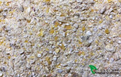 PIENSO BECERRO ENGORDE