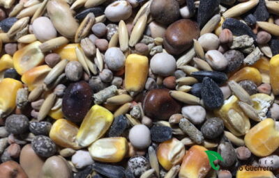 REVUELTO CABRA EXTRA 25 Kg