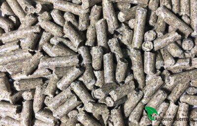 PIENSO CABALLO DE ENGORDE E-2 25 KG