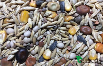 RABACAPRI CABRA 25 Kg