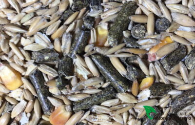 REVUELTO DE CABALLO APLASTADO 25 KG