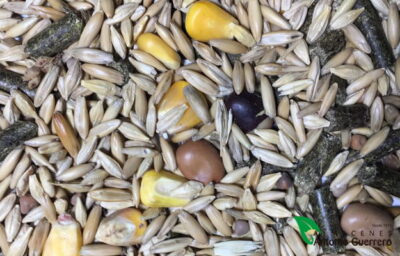 REVUELTO CABALLO ECO 25 KG