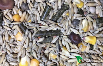 REVUELTO DE CABRA MANTENIMIENTO 25 Kg