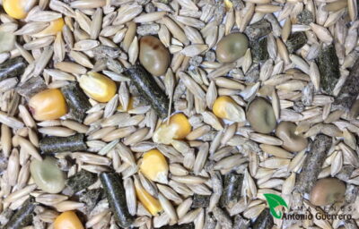 REVUELTO CABALLO 25 Kg