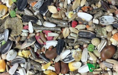 MIXTURA HAMSTER Y ROEDORES