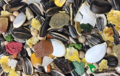 MIXTURA LOROS Y COTORRAS