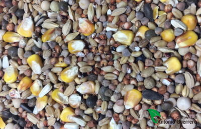 MIXTURA PALOMO BÁSICA