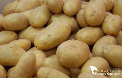 PATATAS DE SIEMBRA FÁBULA 25 KG