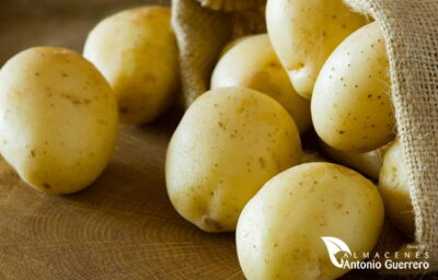 PATATAS DE SIEMBRA SPUNTA HOLANDESA 25 KG