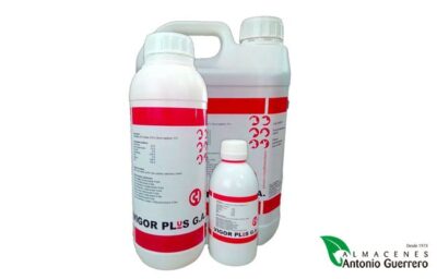 VIGOR PLUS