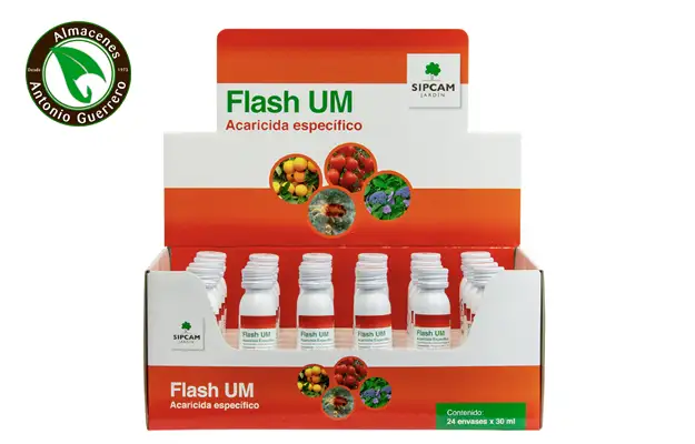Flash Um - Almacenes Antonio Guerrero